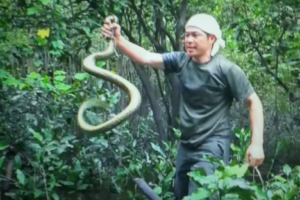 クレイジージャーニーの加藤先生が蛇を素手でキャッチ